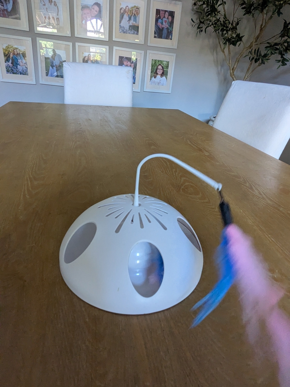 Source Unknown White Cat Play Dome with Feather Wand